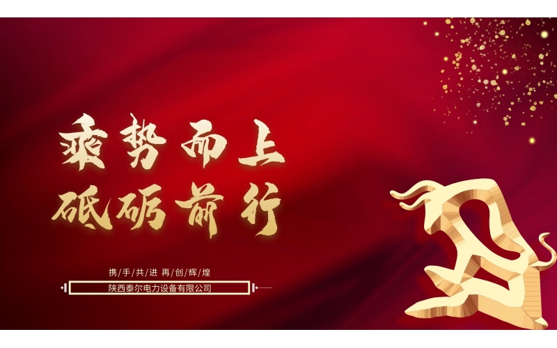 泰爾電力 - 榮獲2021年康明斯年度“中流砥柱獎(jiǎng)”和“服務(wù)優(yōu)異獎(jiǎng)”